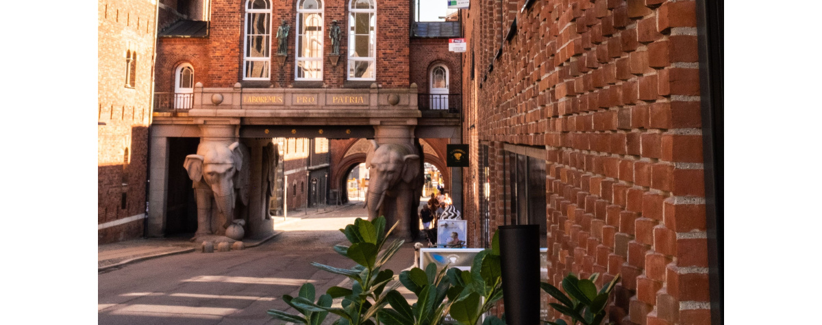 Peter Beier - Alexander's Bistro