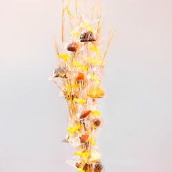 Fastelavnsris Children