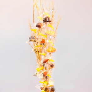 Fastelavnsris Children